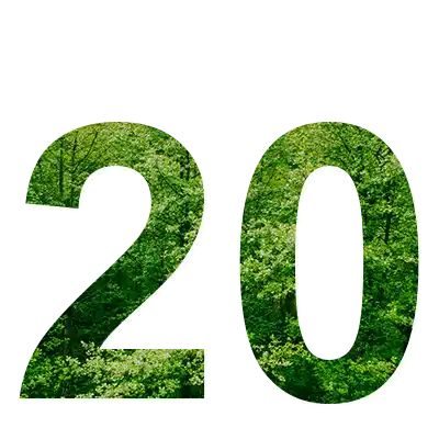20 Years of Experience