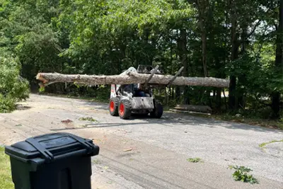 Tree Service